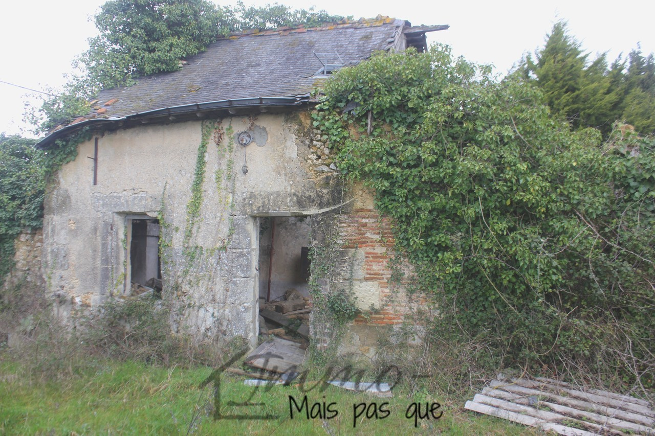 vente Ruine à rénover avec 10 647 m² de terrain