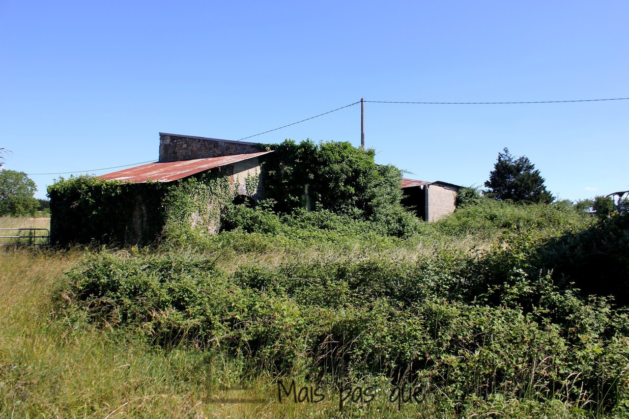 Terrain Avec Ruine Cadastrée à Vendre Occitanie